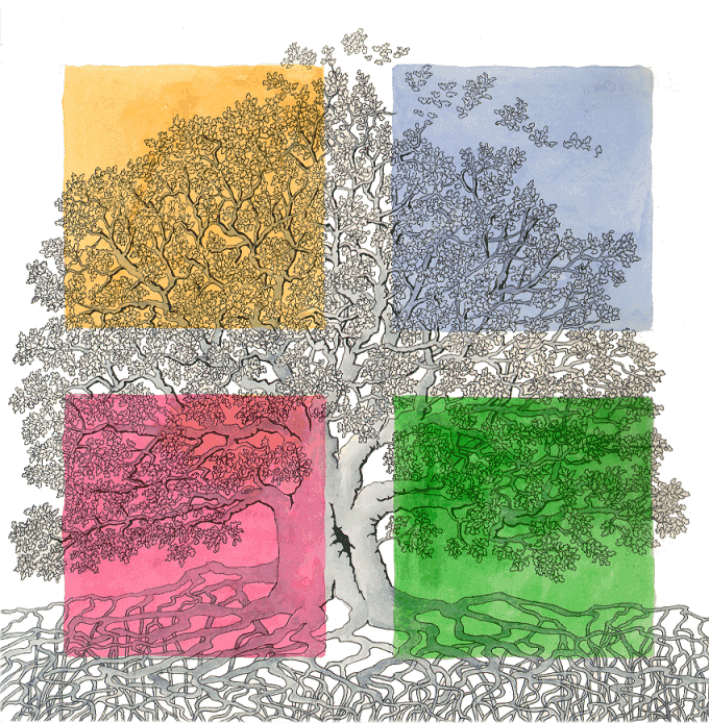 Arabidopsis - impronte vegetali